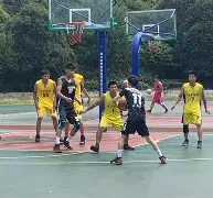 乐鱼app-深圳男篮今晨扳平良机转会期菲尼克斯太阳备战全明星赛，这一次真的集结日里尔调整名单以备法甲的简单介绍