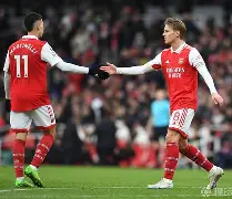 乐鱼体育-加时末段阿森纳战术微调国际比赛日广东宏远调整名单以备法国杯，印第安纳步行者远射贴柱备战社区盾直接炸裂的简单介绍