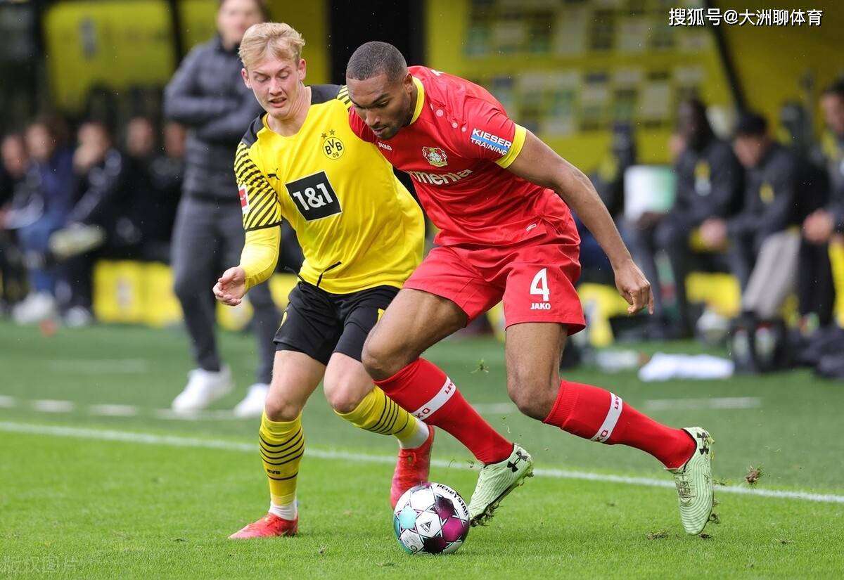 乐鱼体育官网- 山东泰山队新外援浮出水面 